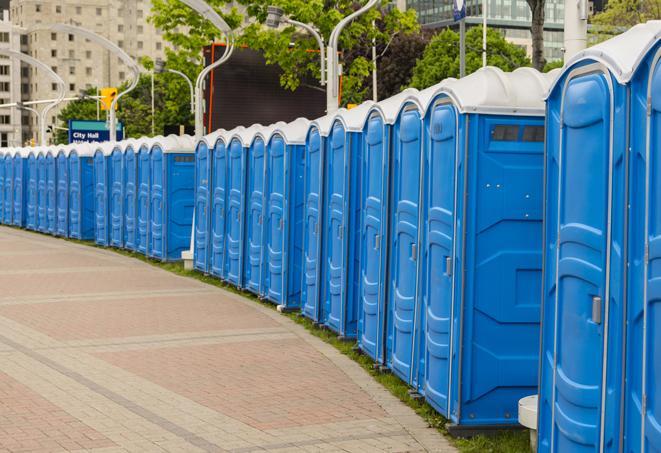 hygienic portable restrooms lined up at a music festival, providing comfort and convenience for attendees in Belvedere